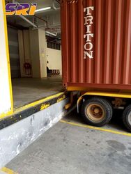 Perfect One (D13), Factory #553989391